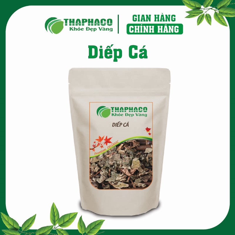 Diếp cá tươi được trải qua quy trình sấy lạnh hoặc sấy thăng hoa hiện đại