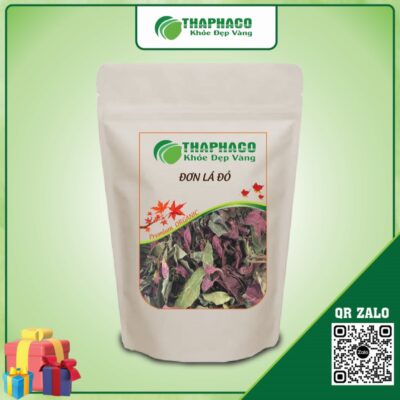 Đơn lá đỏ giúp giảm đau nhức xương khớp, phong thấp