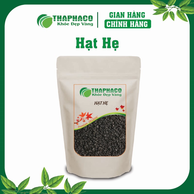 Hạt hẹ Thaphaco được thu hái khi đã già, chín mọng, đảm bảo dược chất