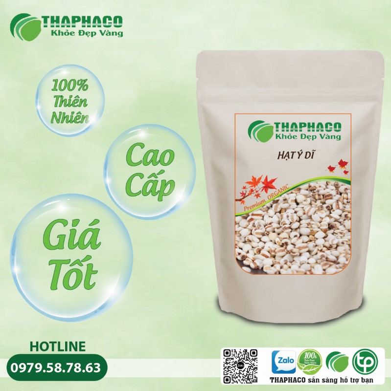 Ai không nên dùng Hạt Ý Dĩ?