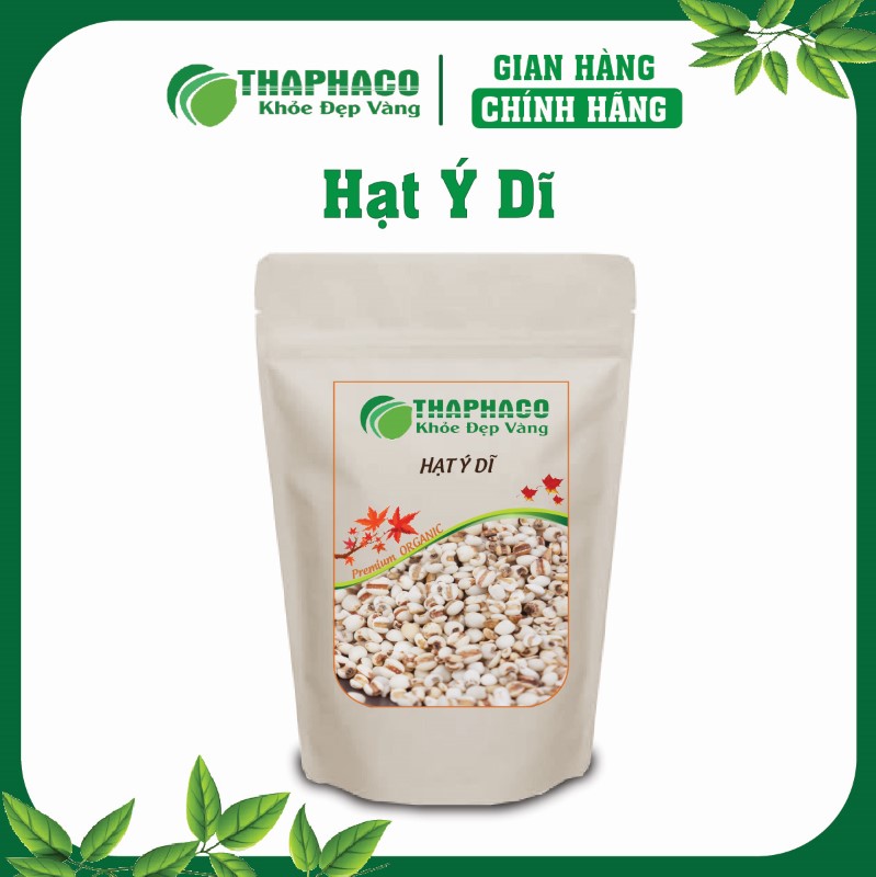 Hạt ý dĩ còn gọi là bo bo, nổi bật với giá trị dinh dưỡng cao