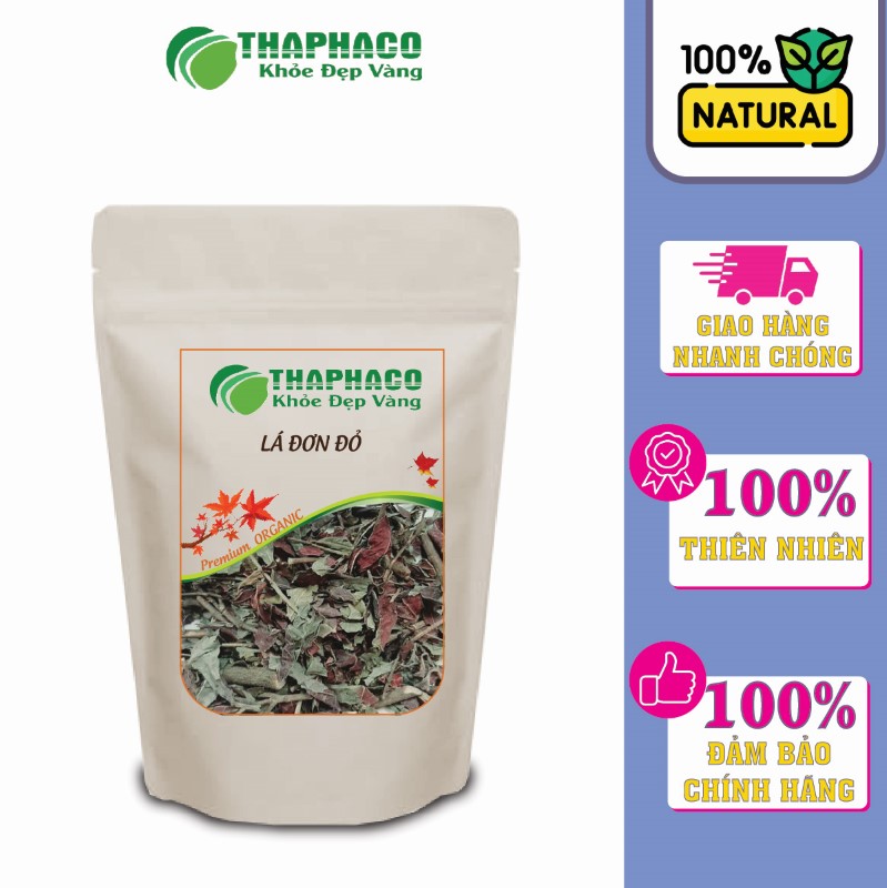 Lá đơn đỏ Thaphaco được trồng trọt theo chuẩn GACP-WHO