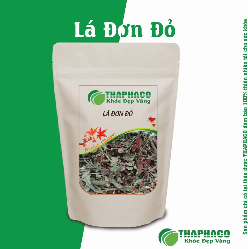 Một Số Bài Thuốc Dân Gian Với Lá Đơn Đỏ