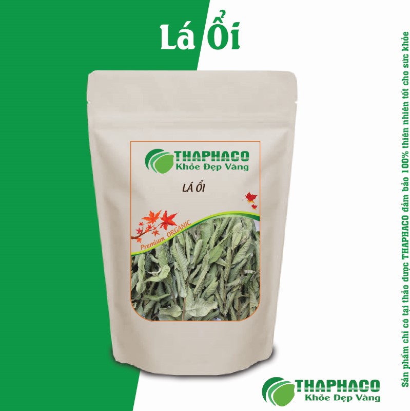 Một Số Bài Thuốc Dân Gian Từ Lá Ổi