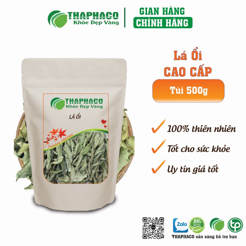 Lá ổi hỗ trợ sức khỏe tim mạch, giảm đau răng, viêm nướu