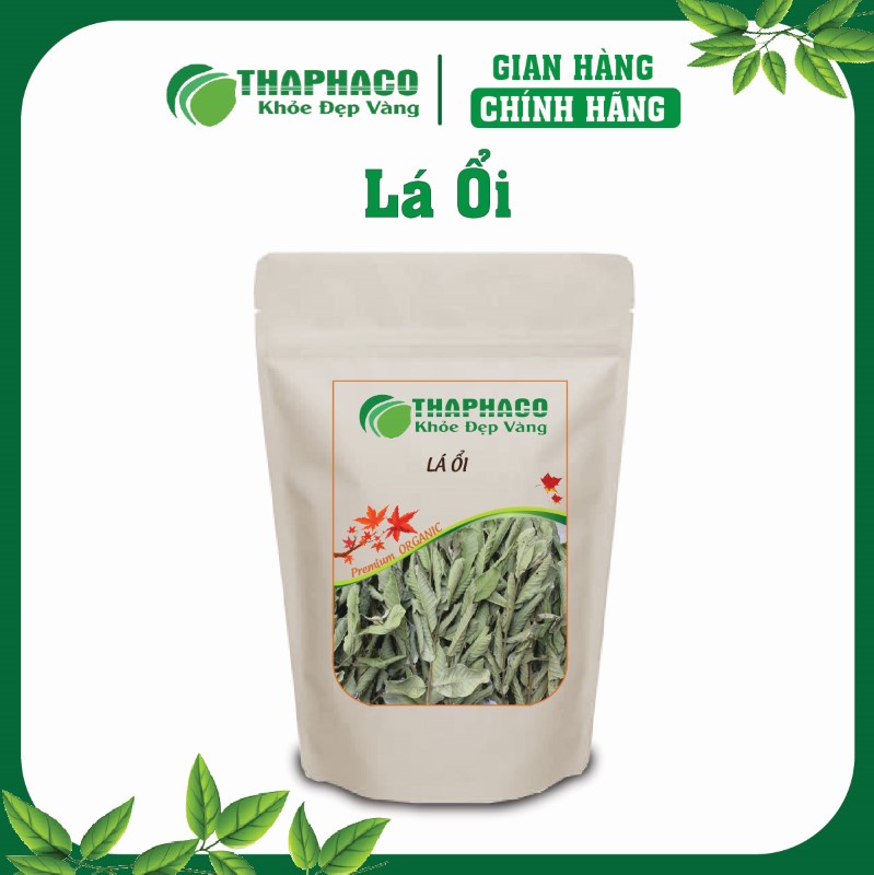 Lá ổi Thaphaco được chọn lọc kỹ càng từ vùng nguyên liệu sạch