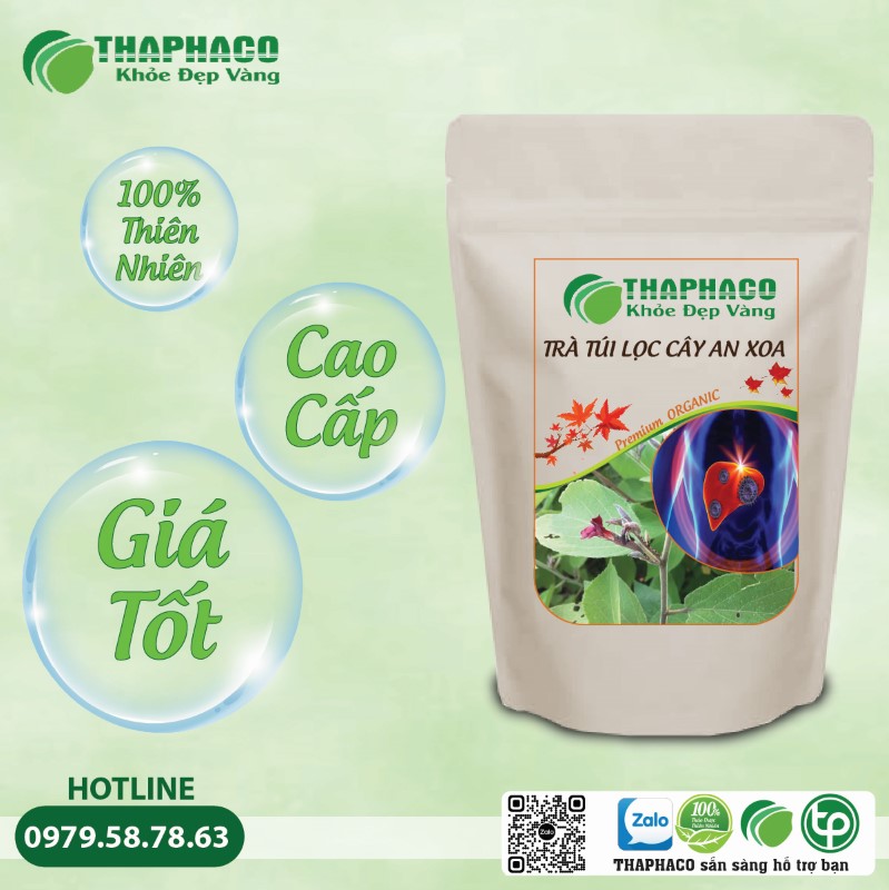 Lưu Ý Quan Trọng Khi Sử Dụng Trà Túi Lọc Cây An Xoa