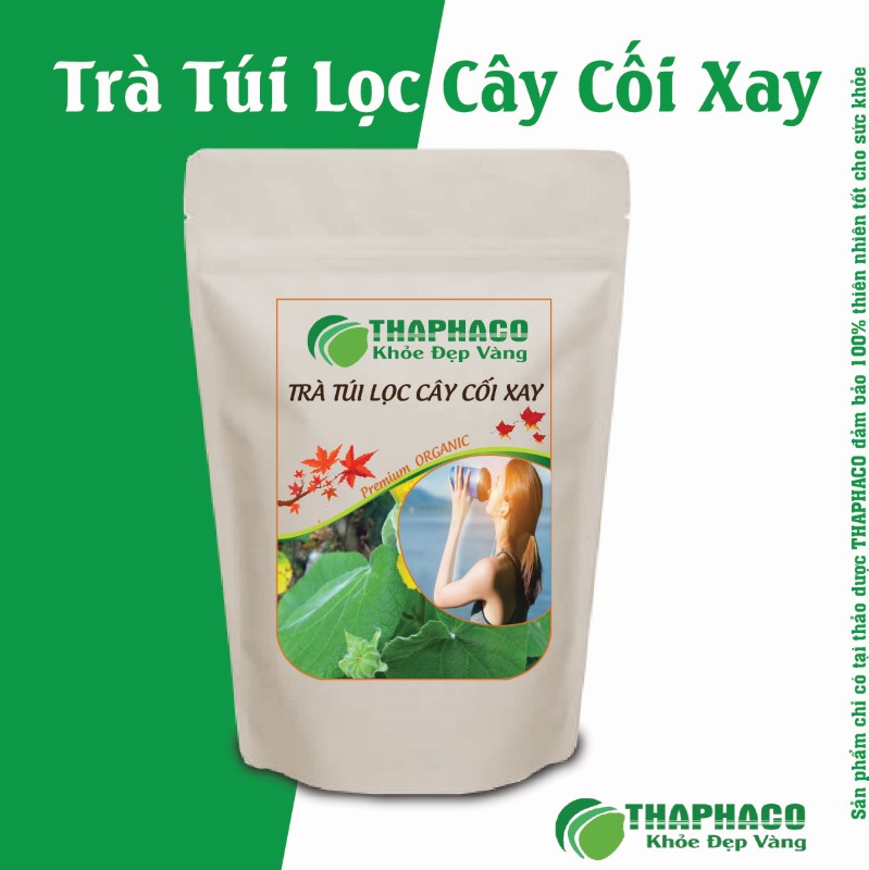 Liều lượng và thời điểm sử dụng trà túi lọc cây cối xay tối ưu