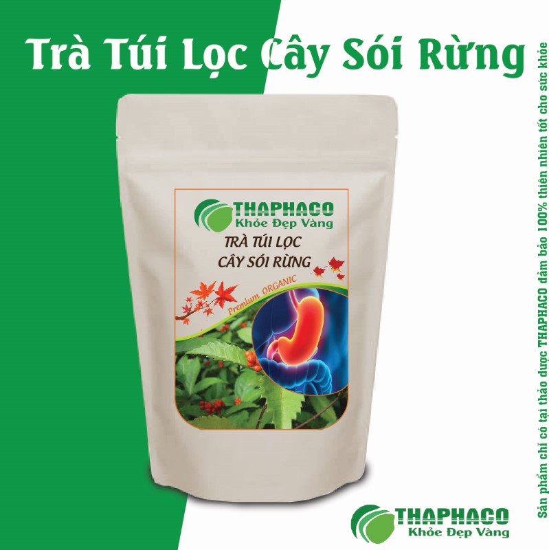 Lưu ý quan trọng khi dùng Trà Túi Lọc Cây Sói Rừng