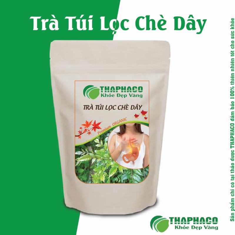 Hướng Dẫn Sử Dụng Trà Túi Lọc Chè Dây Thaphaco