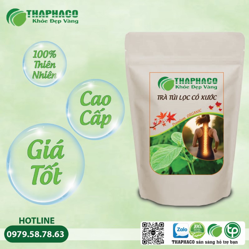 Lưu Ý Quan Trọng Khi Sử Dụng Trà Túi Lọc Cỏ Xước