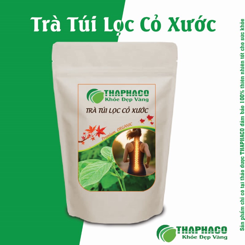 Khuyến nghị uống 2-3 túi trà Cỏ Xước mỗi ngày, tốt nhất là sau ăn 30 phút