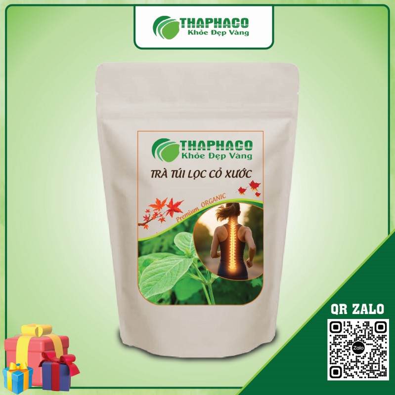 Cỏ Xước nổi bật với khả năng giảm viêm, giảm đau xương khớp