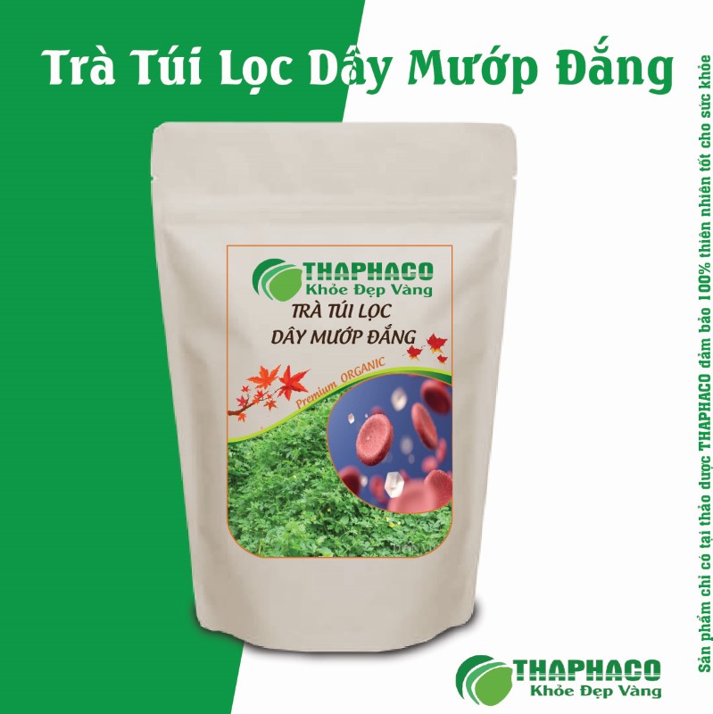 Lưu Ý Quan Trọng Khi Dùng Trà Túi Lọc Dây Mướp Đắng (Khổ Qua)