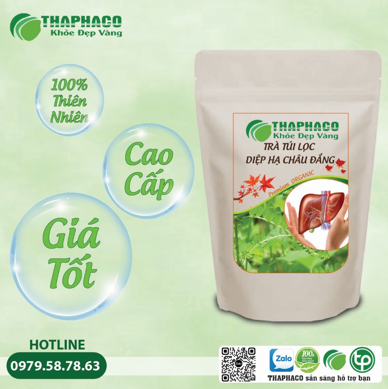 Nên sử dụng trà Diệp Hạ Châu Đắng đúng liều lượng, kiên trì và lắng nghe cơ thể