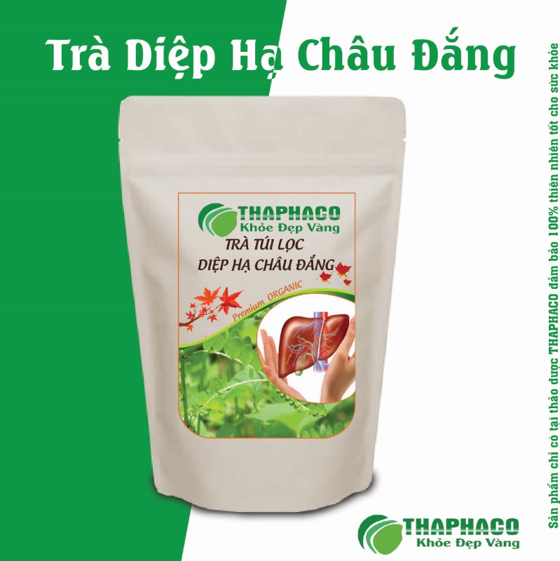 Kết Hợp Diệp Hạ Châu Đắng Trong Một Số Bài Thuốc Dân Gian