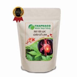 trà túi lọc giảo cổ lam giá rẻ