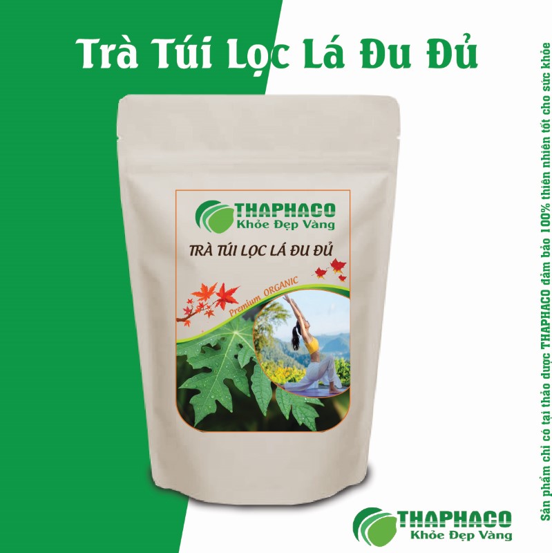 Hướng Dẫn Cách Sử Dụng Trà Túi Lọc Lá Đu Đủ Thaphaco Hiệu Quả Nhất