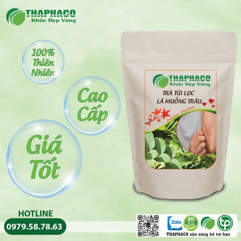 Cách bảo quản Trà Túi Lọc Lá Muồng Trâu đúng cách