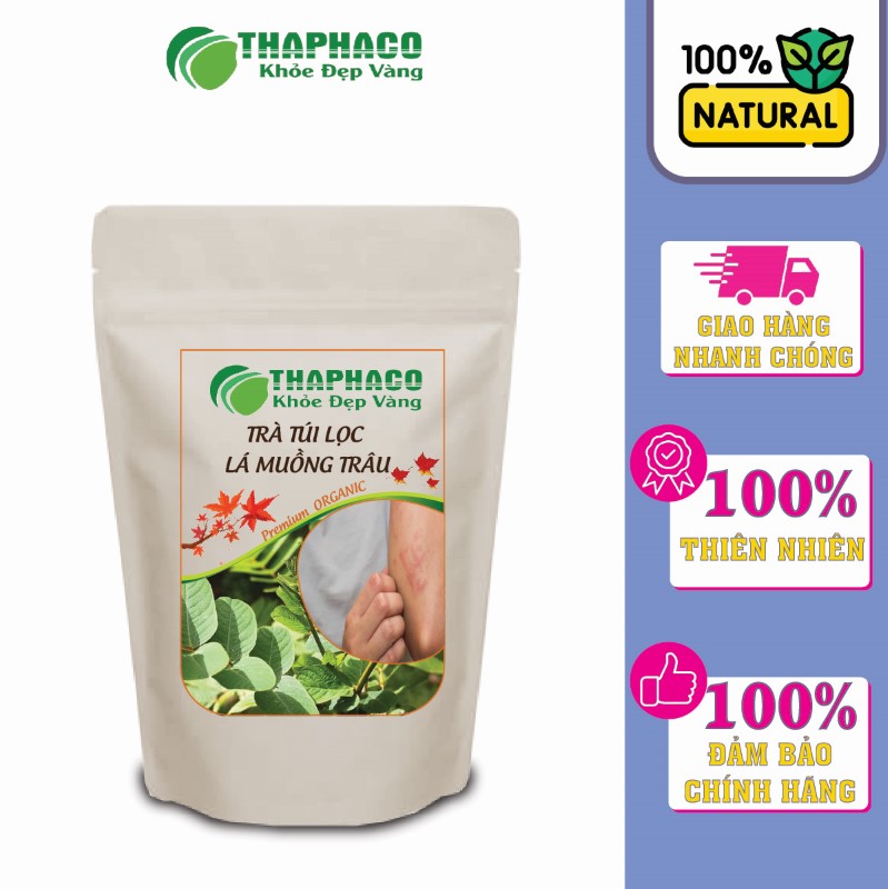 Thaphaco là lựa chọn hàng đầu cho trà Lá Muồng Trâu sạch, nguyên chất