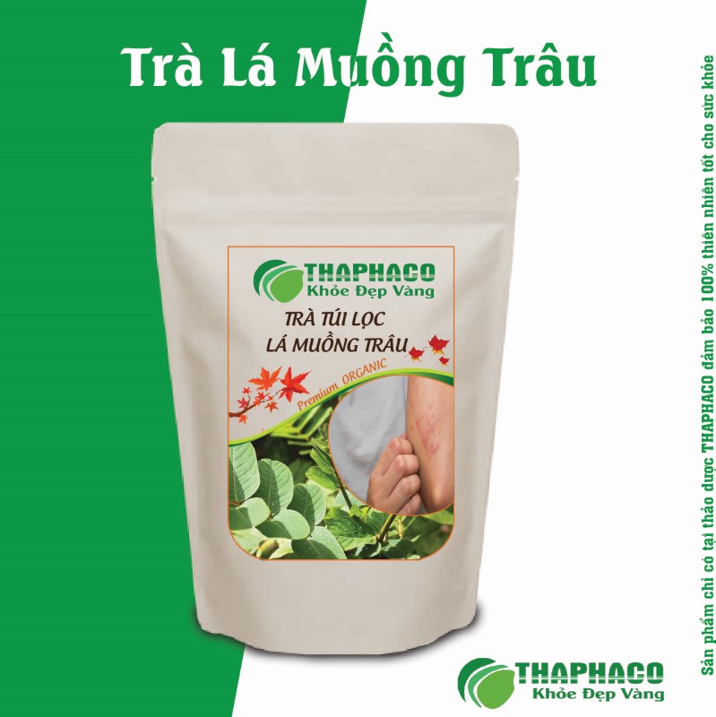 Gợi ý kết hợp Trà Lá Muồng Trâu với các dược liệu khác