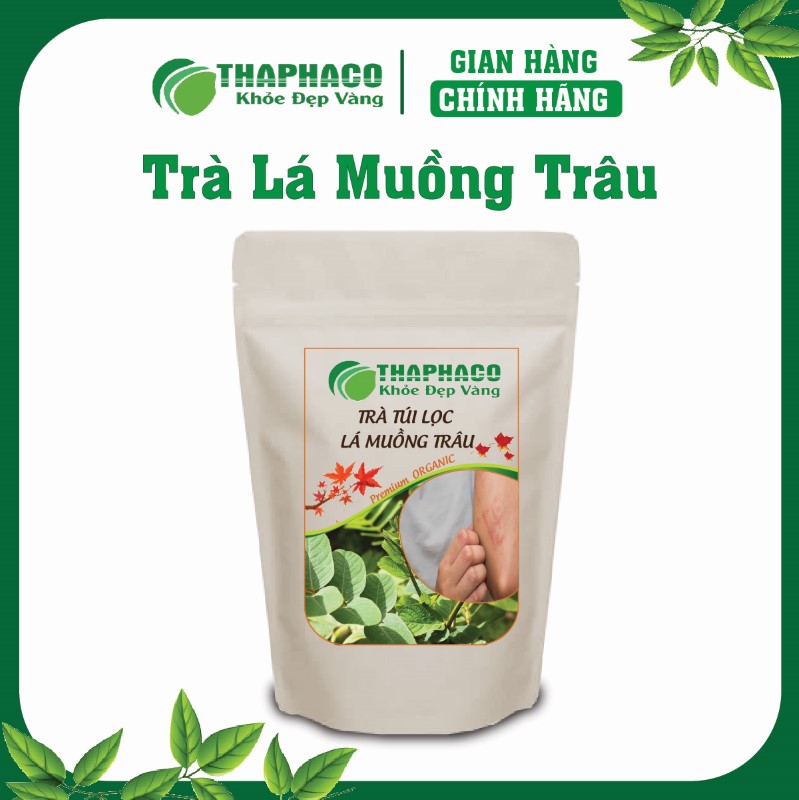 Trà túi lọc lá muồng trâu nguyên chất 100%, không chất bảo quản