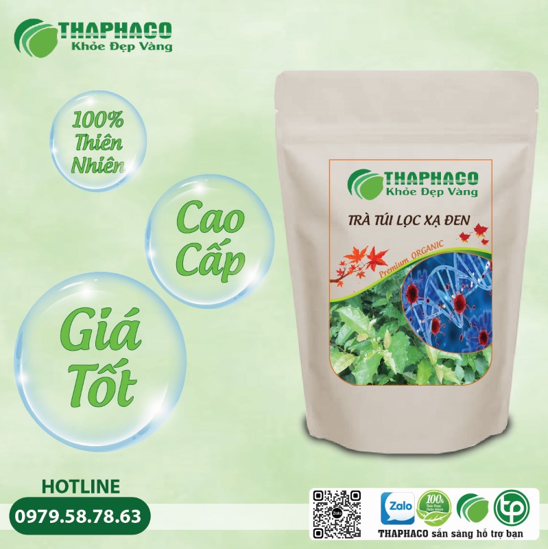 Lưu Ý Quan Trọng Khi Sử Dụng Trà Túi Lọc Xạ Đen