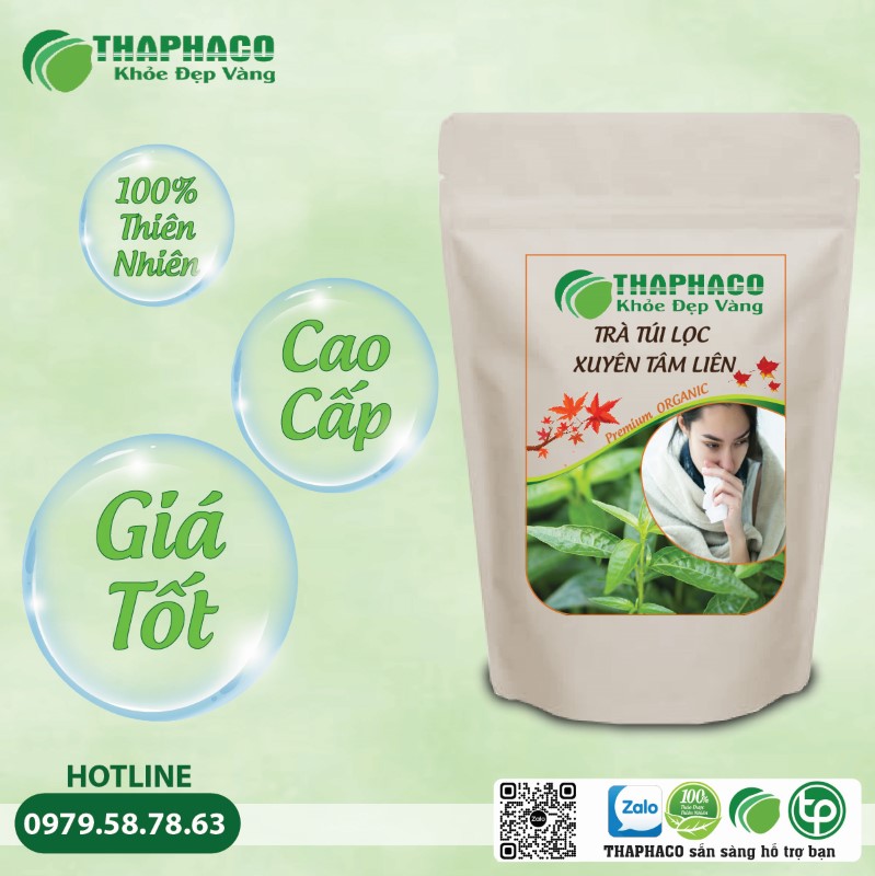 Lưu Ý Quan Trọng Khi Sử Dụng Trà Túi Lọc Xuyên Tâm Liên