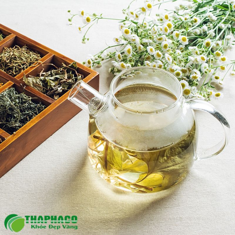 Trà thảo dược tổng hợp Thaphaco: Giải pháp tiện lợi, toàn diện