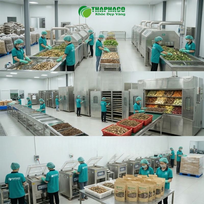 Thaphaco cam kết mang đến những sản phẩm dược liệu sạch, được kiểm định nghiêm ngặt