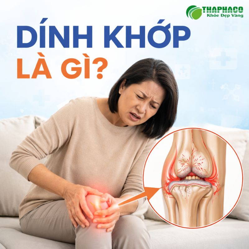 dính khớp là gì