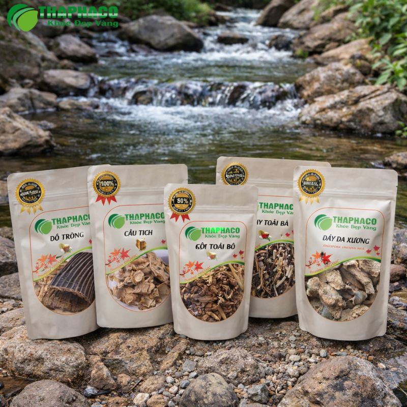 Các Dược Liệu Hỗ Trợ Gai Cột Sống Từ Thaphaco