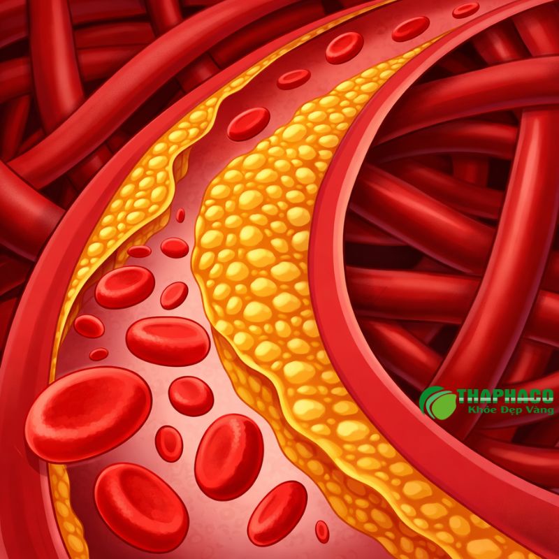 Thaphaco cam kết cung cấp dược liệu thiên nhiên sạch hỗ trợ chức năng gan