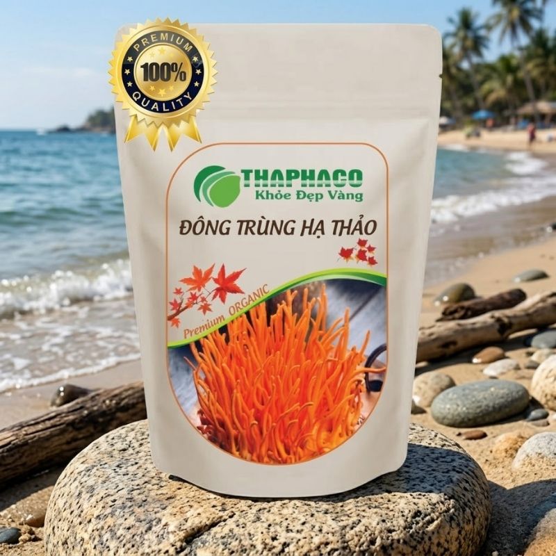 Thaphaco cung cấp nhiều dược liệu quý giúp tăng cường thể lực, giảm mệt mỏi