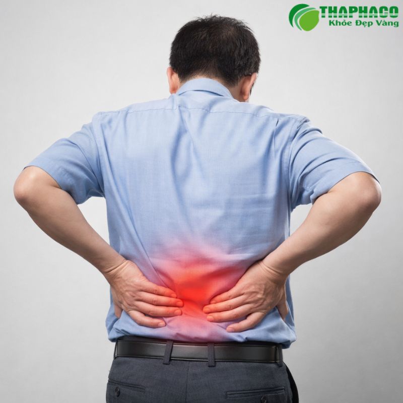 Thoát vị đĩa đệm là tình trạng nhân nhầy thoát ra khỏi bao xơ, chèn ép dây thần kinh, gây đau nhức