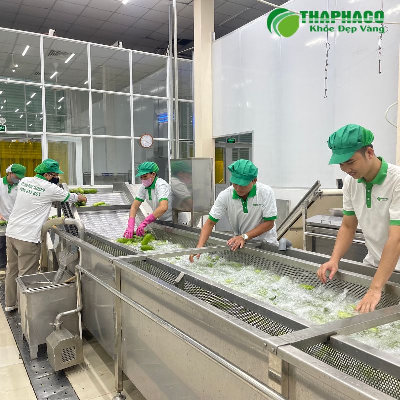 Thaphaco cam kết mang đến dược liệu tự nhiên với quy trình kiểm soát chất lượng nghiêm ngặt