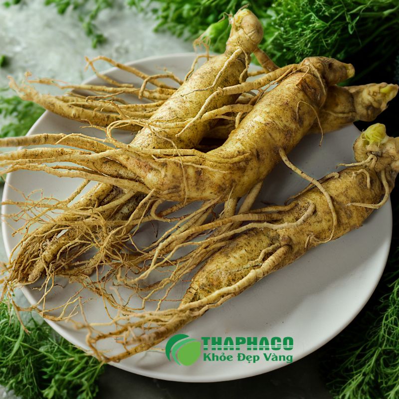 Thaphaco mang đến dược liệu sạch, nguyên chất, hỗ trợ sức khỏe tổng thể cho người viêm đa cơ