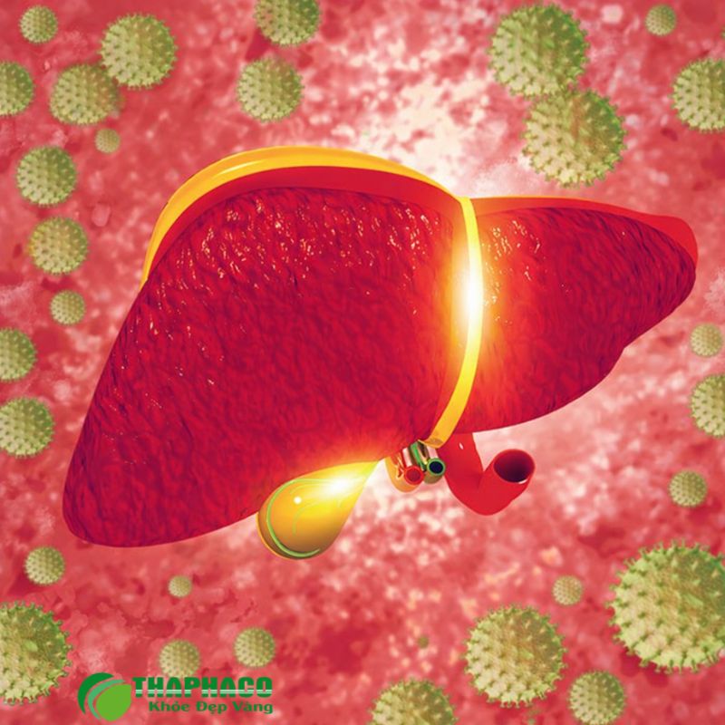 Điều trị PSC bao gồm dùng Ursodeoxycholic Acid, nội soi, phẫu thuật và ghép gan