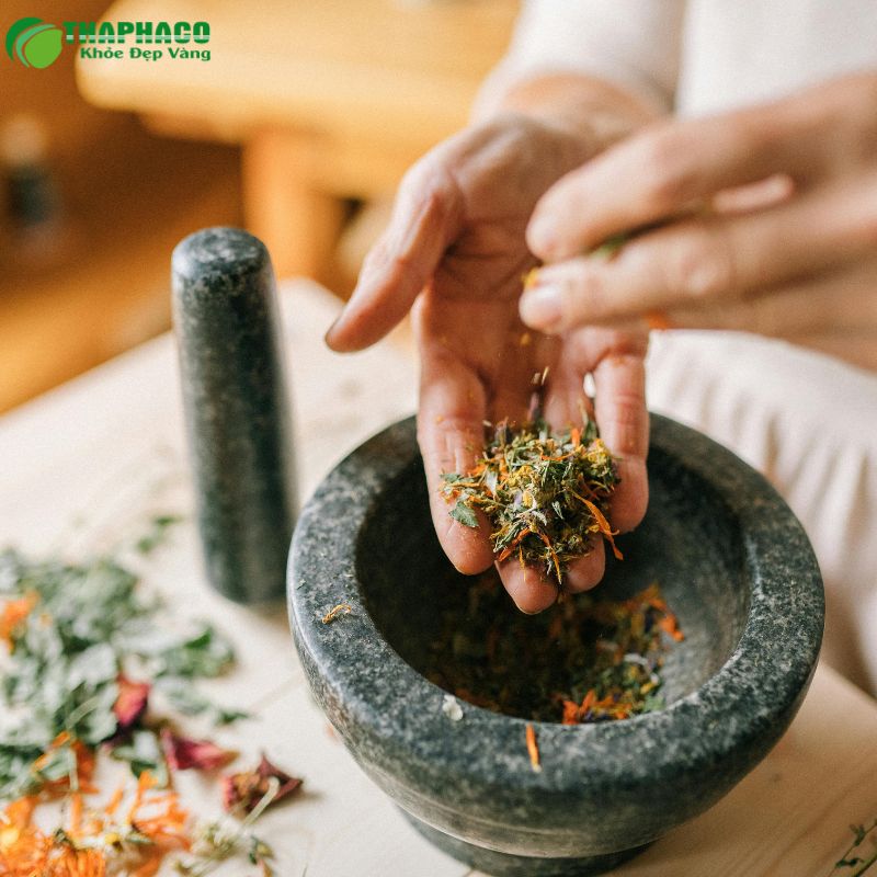 Các phương pháp hỗ trợ thải độc gan an toàn từ dược liệu tự nhiên Thaphaco