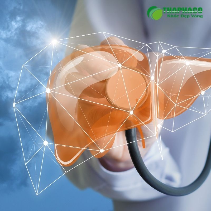 Vai trò của dược liệu tự nhiên "sạch, nguyên chất" trong bảo vệ gan