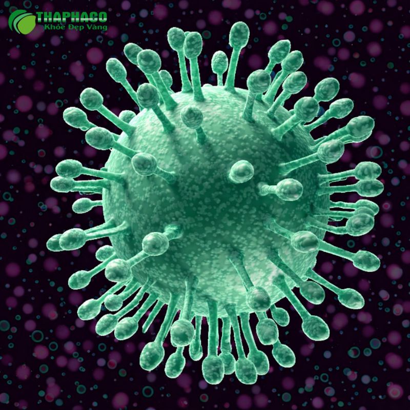 Tác động của viêm gan do vi khuẩn lên chức năng gan