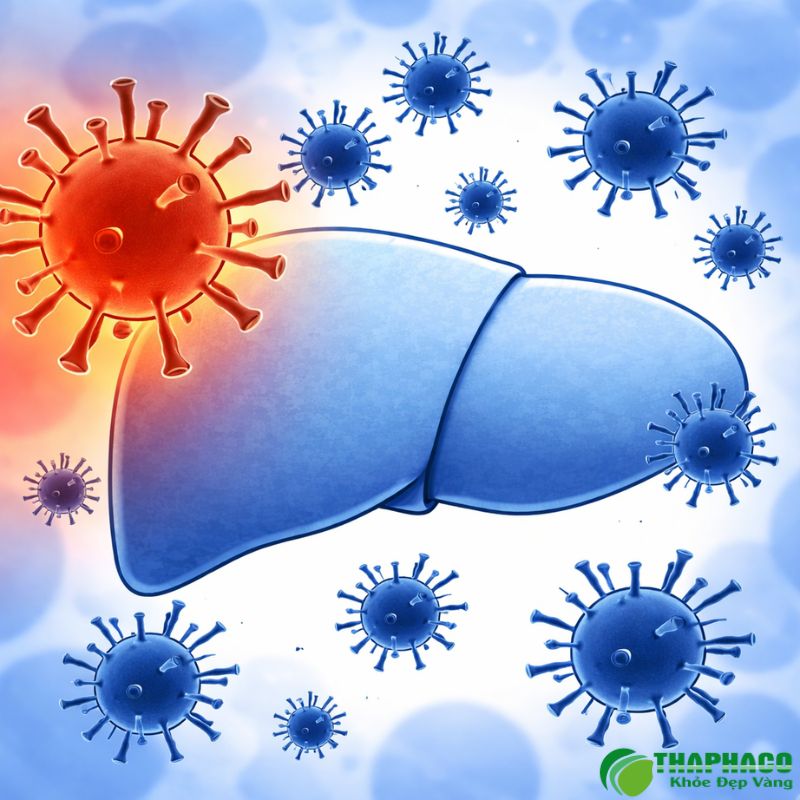 viêm gan do vi khuẩn là gì