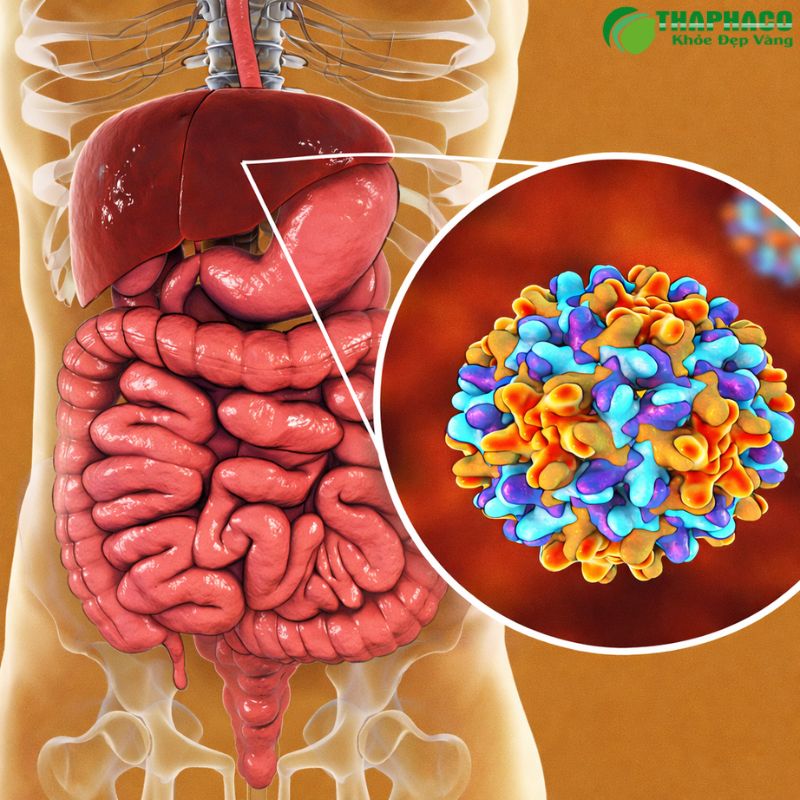 Biện pháp phòng ngừa viêm gan mạn hiệu quả