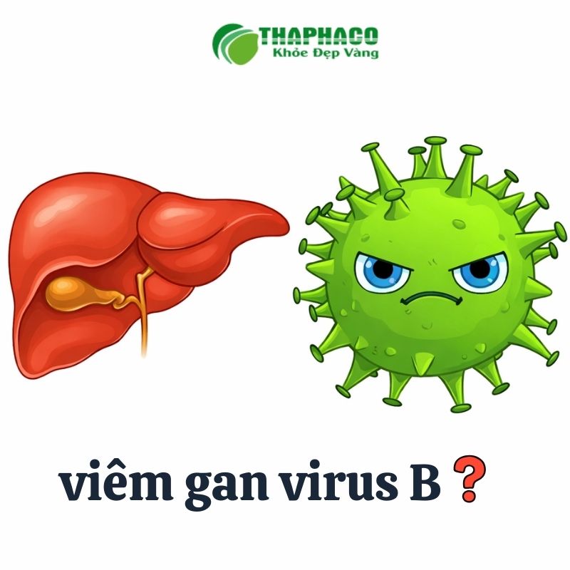 viêm gan virus b là gì