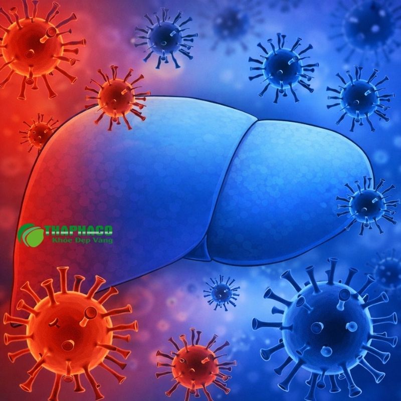 Một số nhóm đối tượng đặc biệt có nguy cơ cao mắc viêm gan virus E