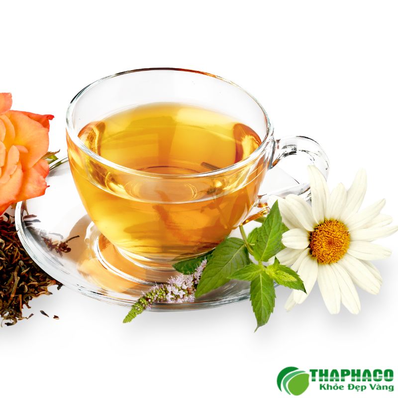 Dược Liệu Thaphaco Hỗ Trợ Sức Khỏe Hô Hấp Hiệu Quả