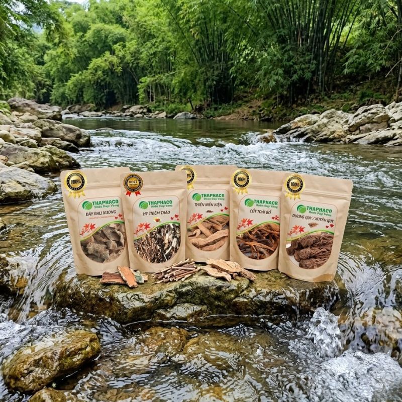 Thaphaco – Giải Pháp Dược Liệu Sạch, Nguyên Chất Cho Người Viêm Khớp Mạn Tính