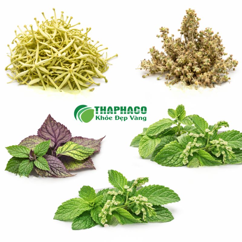 Dược Liệu Sạch, Nguyên Chất Thaphaco - Giải Pháp Hỗ Trợ Viêm Mũi Dị Ứng Hiệu Quả