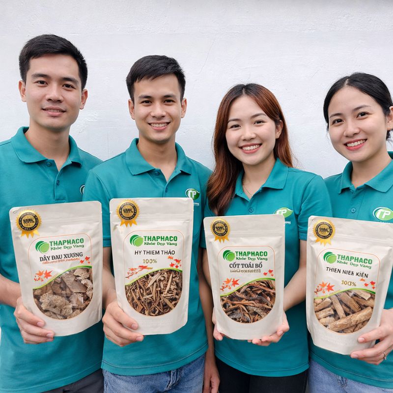 Thaphaco cung cấp dược liệu “Sạch, Nguyên Chất” hỗ trợ sức khỏe xương khớp