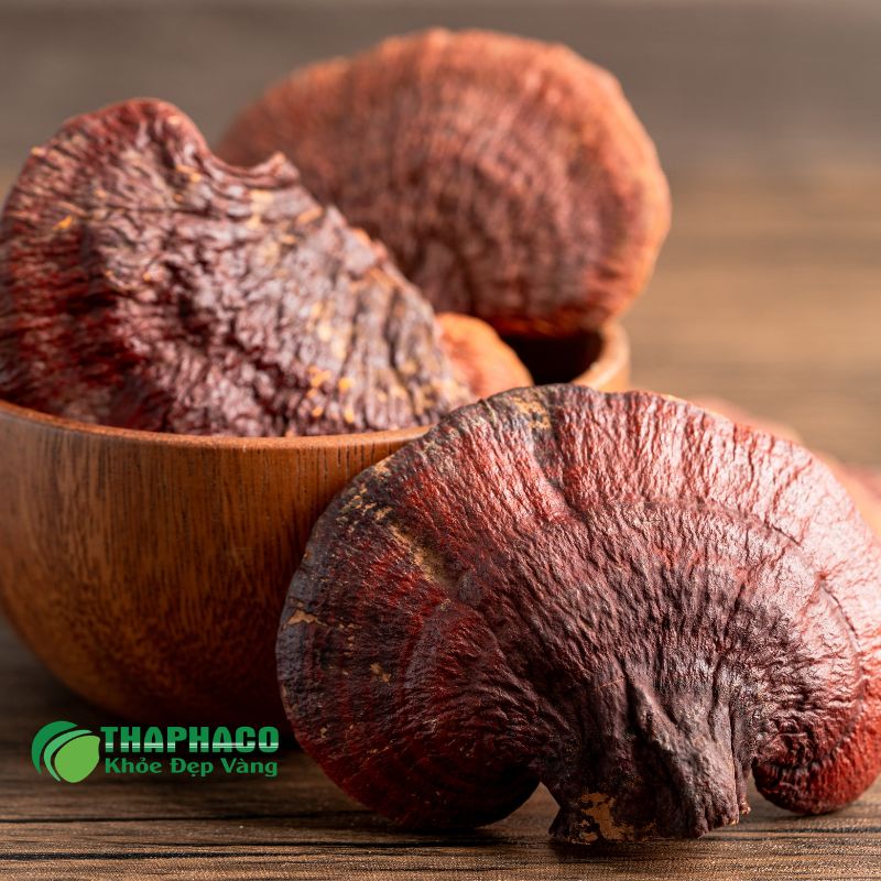 Dược liệu Thaphaco hỗ trợ phục hồi sức khỏe trong quá trình điều trị bạch cầu cấp